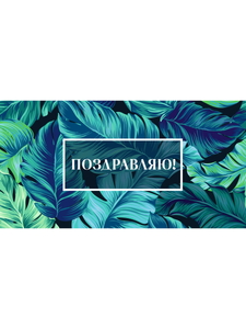 OPTIMA Конверт для денег "Поздравляю!" (листья) 1-04-0432