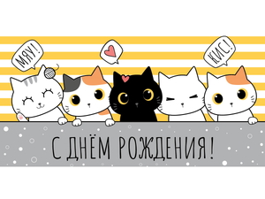 OPTIMA Конверт для денег "С днем рождения!" (веселые котики) 1-04-0447