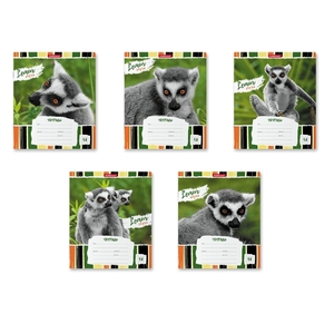 Тетрадь 18л., клетка, Erich Krause, скрепка, офсет, мелован. картон "Lemur Style"